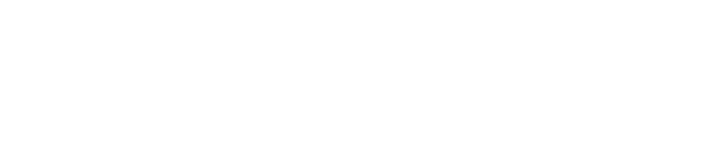 FiftyFive Logo
