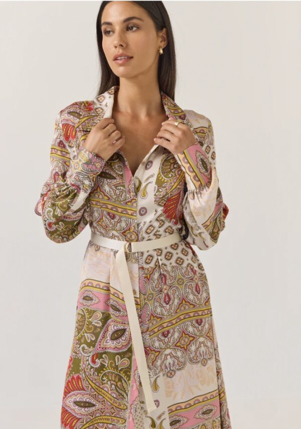 Mala Dress-Sunset Paisley - Image 3