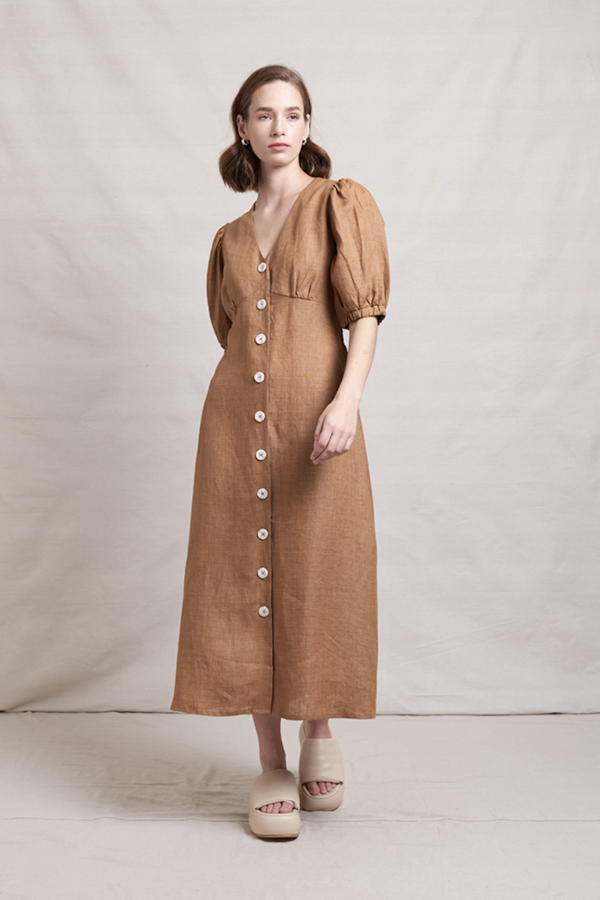 Princess Diaries Dress