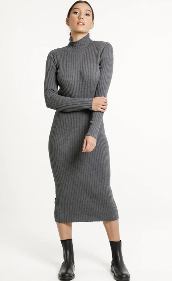 Turtle Neck Dress